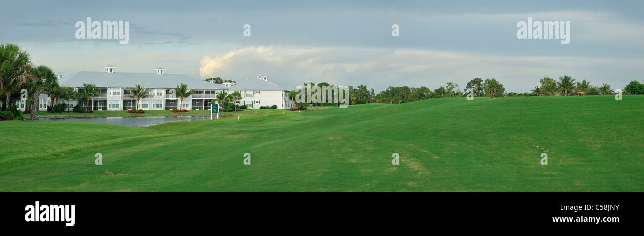 Flamingo, Campo da Golf, Lely Resort, Naples, Florida, Stati Uniti d'America, Stati Uniti, America, verde erba, golf Foto Stock