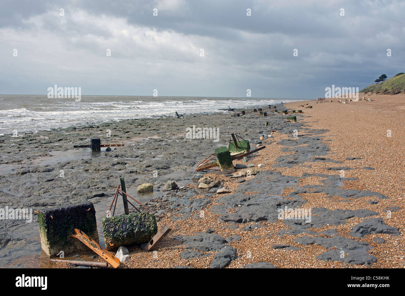 Seconda guerra mondiale anti-invasione pali recinzione in blocchi di cemento, Bawdsey, Suffolk, Regno Unito. Foto Stock