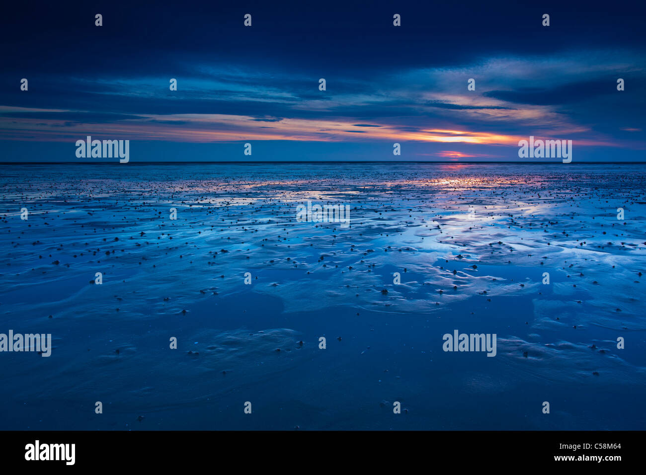 Inghilterra, Northumberland, Goswell Sands. Le sfumature di blu di alba riflessa sulla distesa di sabbia della spiaggia di Goswell Sands Foto Stock