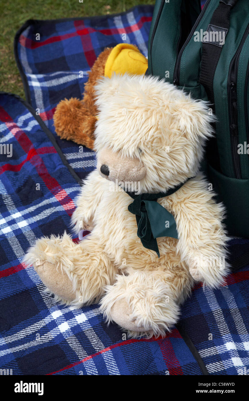 Orsetti seduti sul tappeto picnic nel Maggio Foto Stock