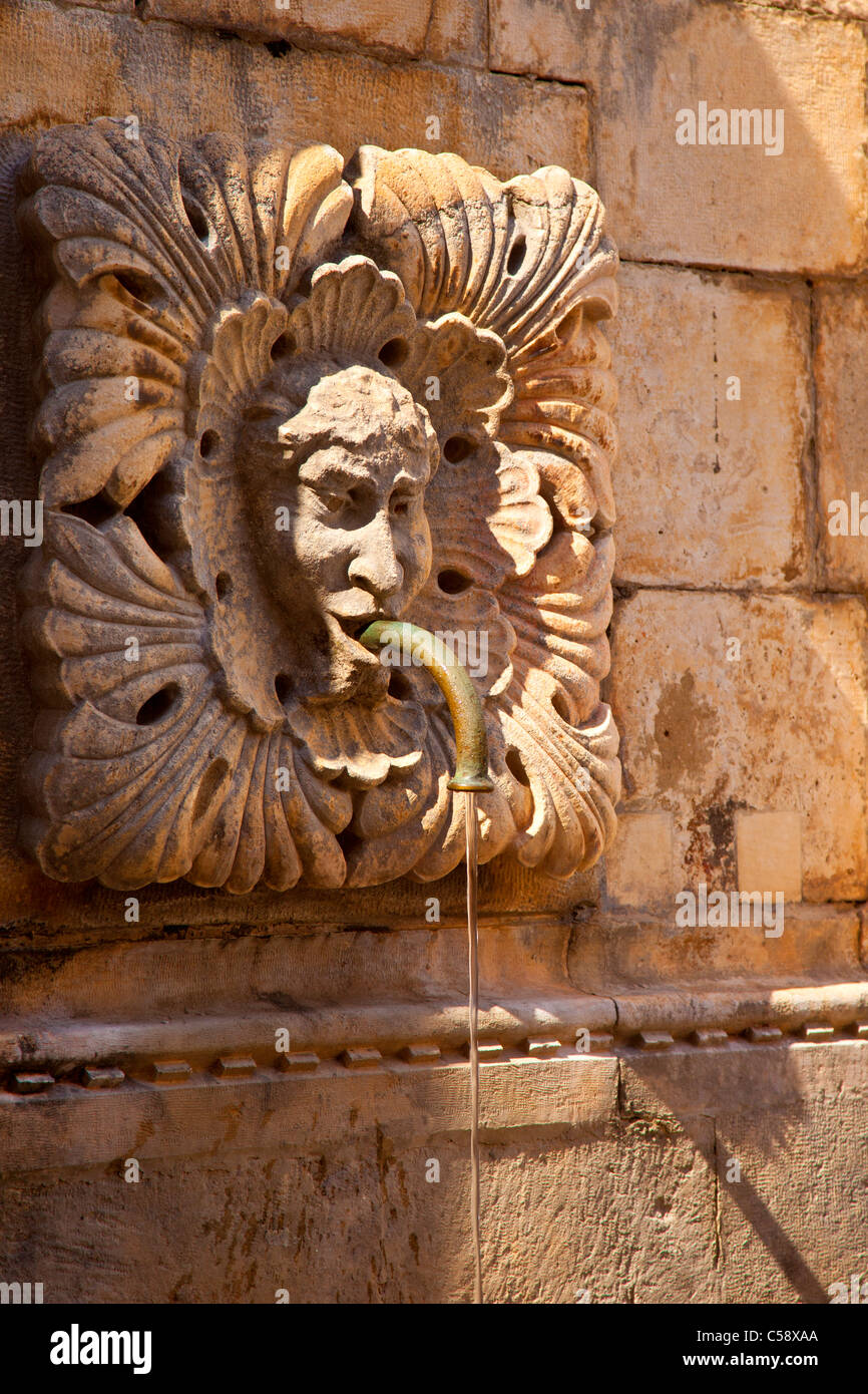 Dettagli scolpiti su Onofrio la fontana costruita nel 1438 da Onofrio della Cava, Dubrovnik, Dalmazia Croazia Foto Stock