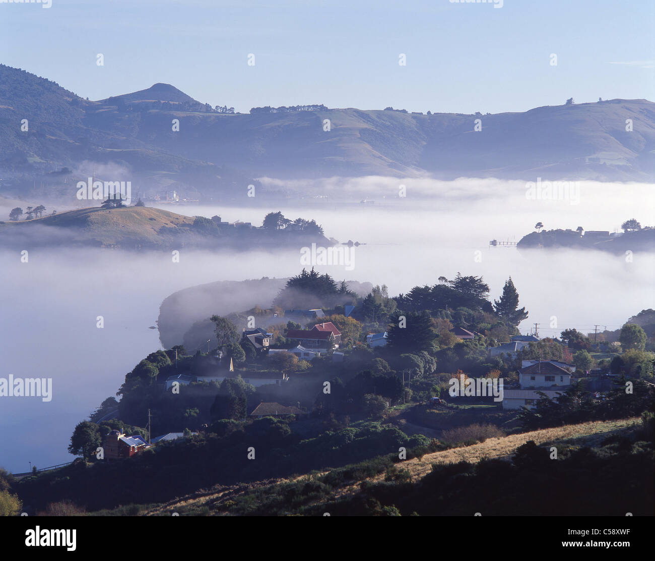 Penisola di Otago all'alba, Dunedin, Regione di Otago, Isola del Sud, Nuova Zelanda Foto Stock