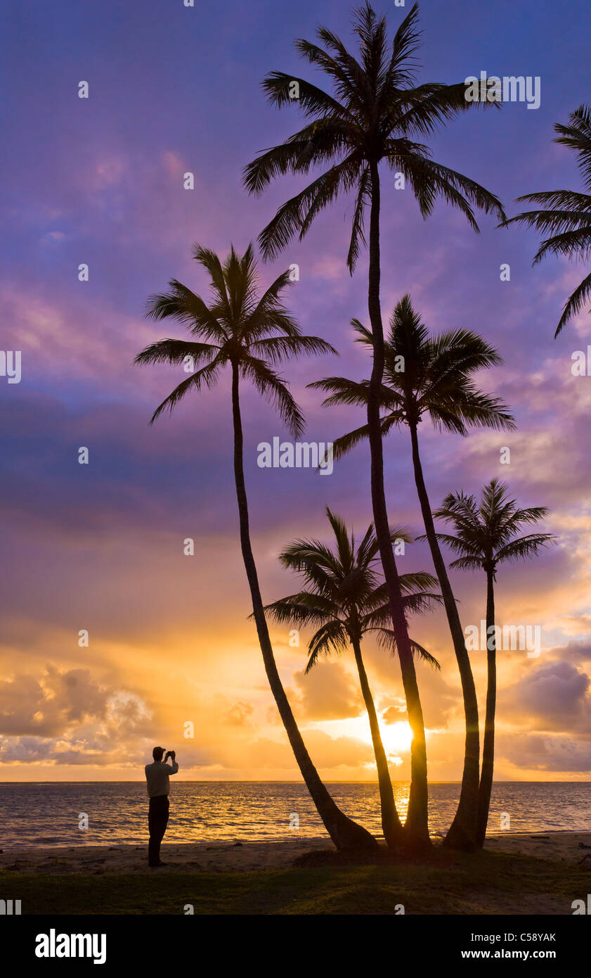 Palme di cocco e uomo di fotografare sunrise Punalu all'u Beach Park, Windward Oahu, Hawaii. Foto Stock