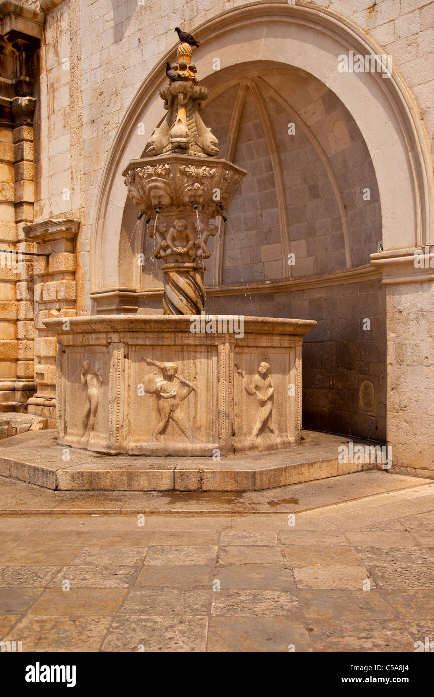 Piccolo Onofrio fontana progettata e costruita da Onofrio della Cava, Dubrovnik Dalmazia Croazia Foto Stock