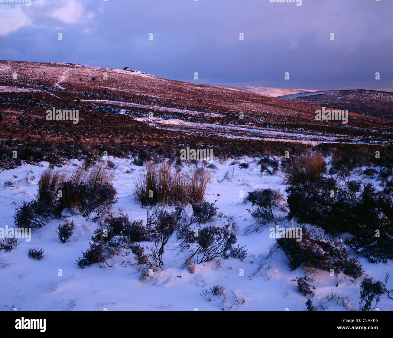 Nevicate sul promontorio Warren e Birch Tor nel parco nazionale di Dartmoor vicino a Postbridge, Devon, Inghilterra. Foto Stock