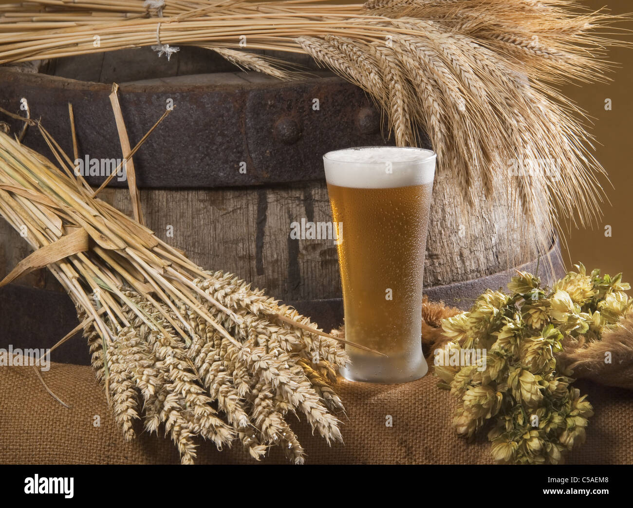 Bicchiere da birra con orzo e luppolo cono Foto Stock