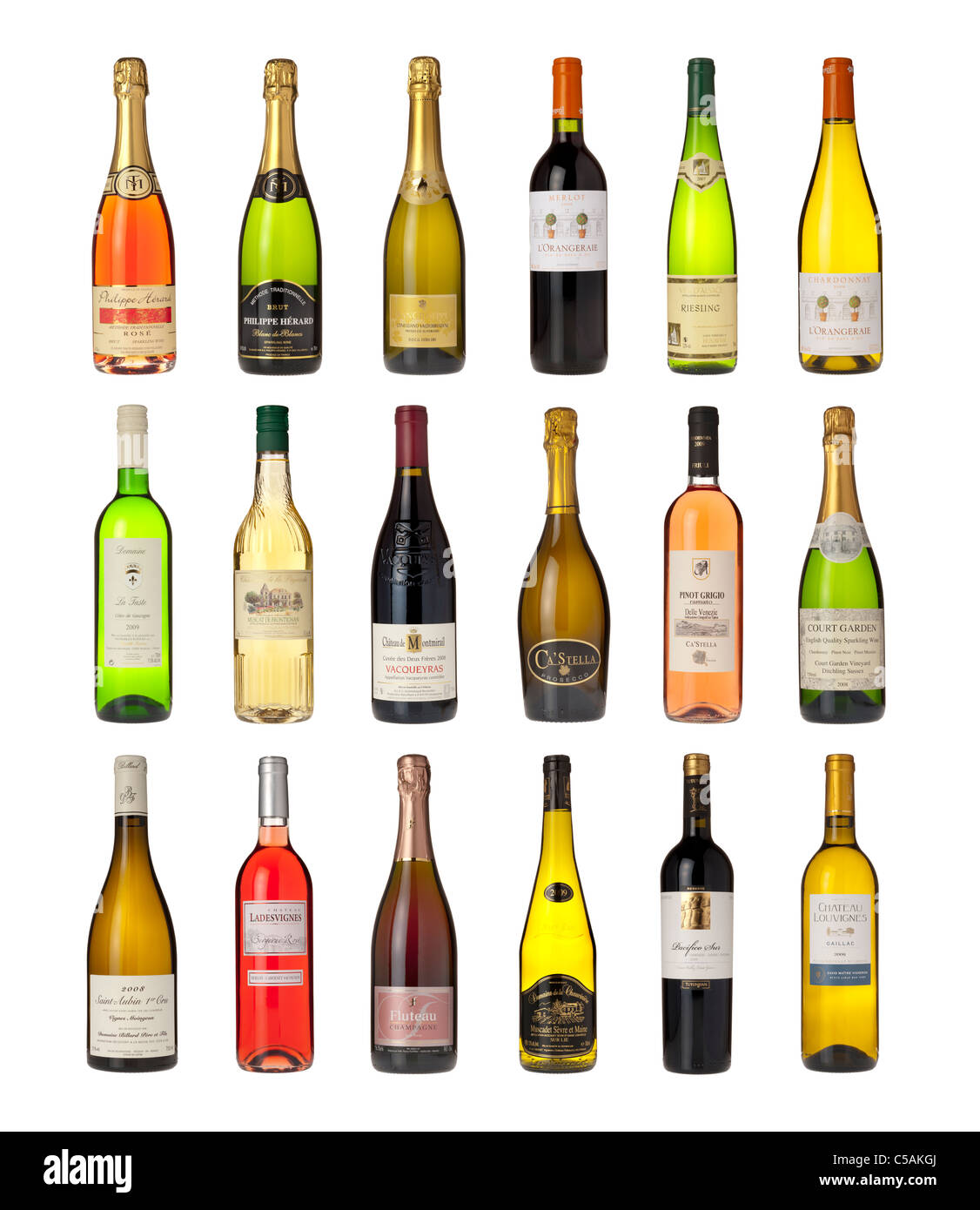 Diversi tipi di bottiglia di vino Foto Stock