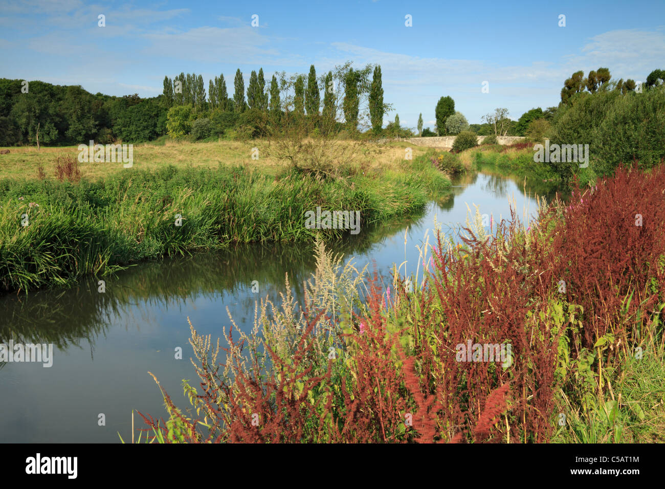 Fiume Rother e Ponte Shopam, West Sussex Foto Stock