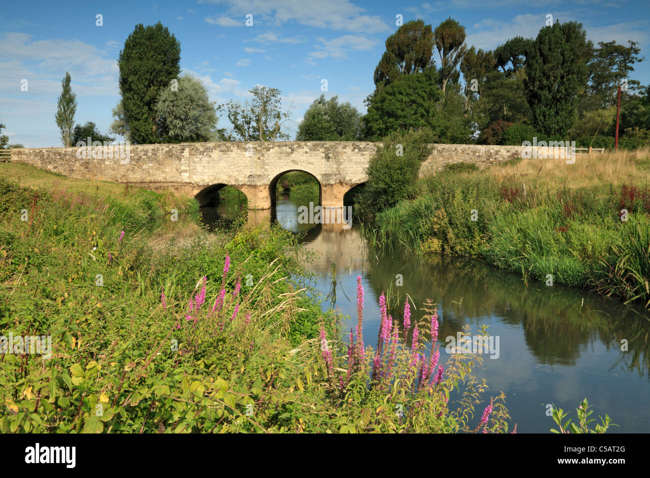 Fiume Rother e Ponte Shopam, West Sussex Foto Stock