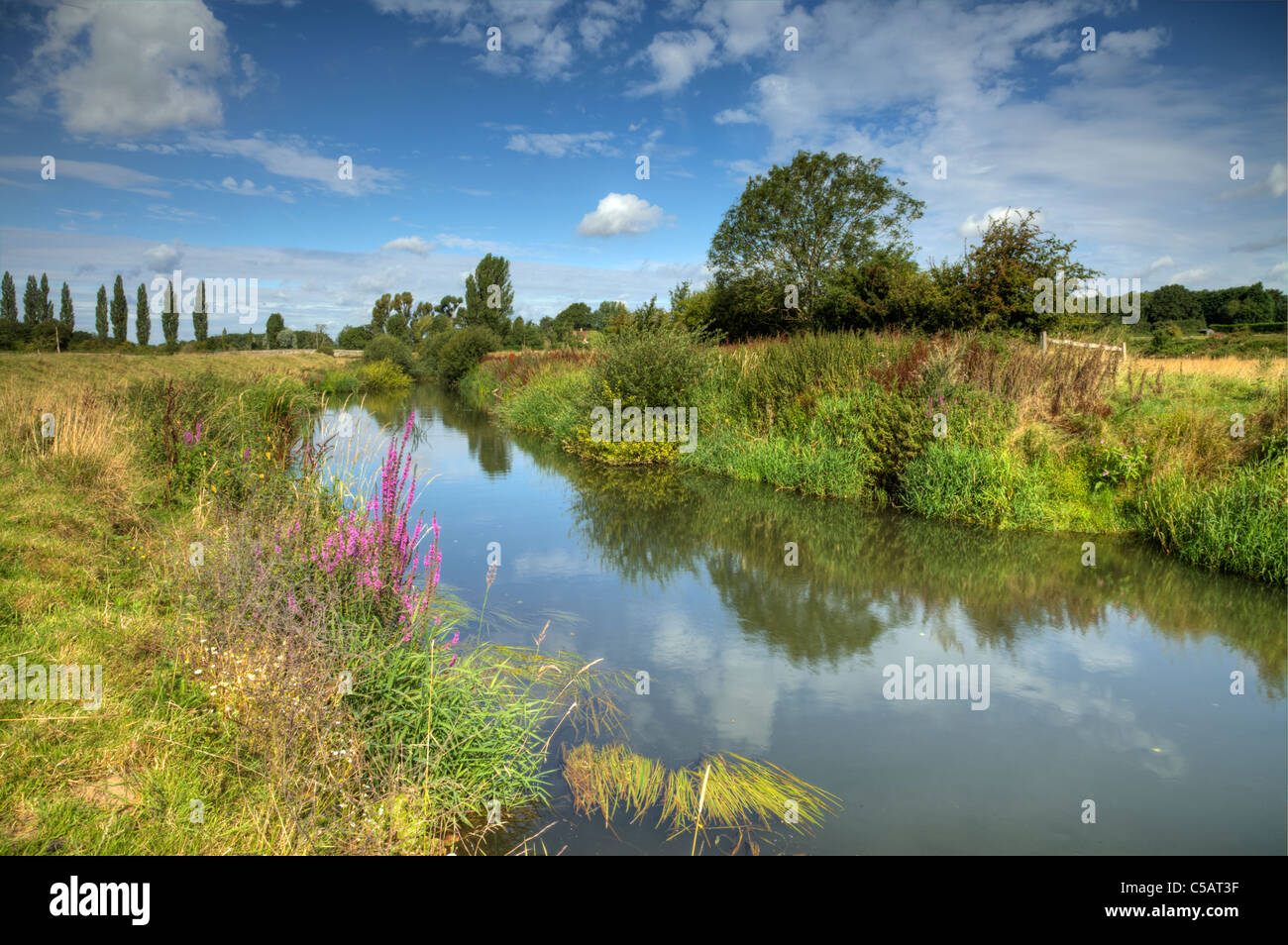 Fiume Rother, West Sussex Foto Stock