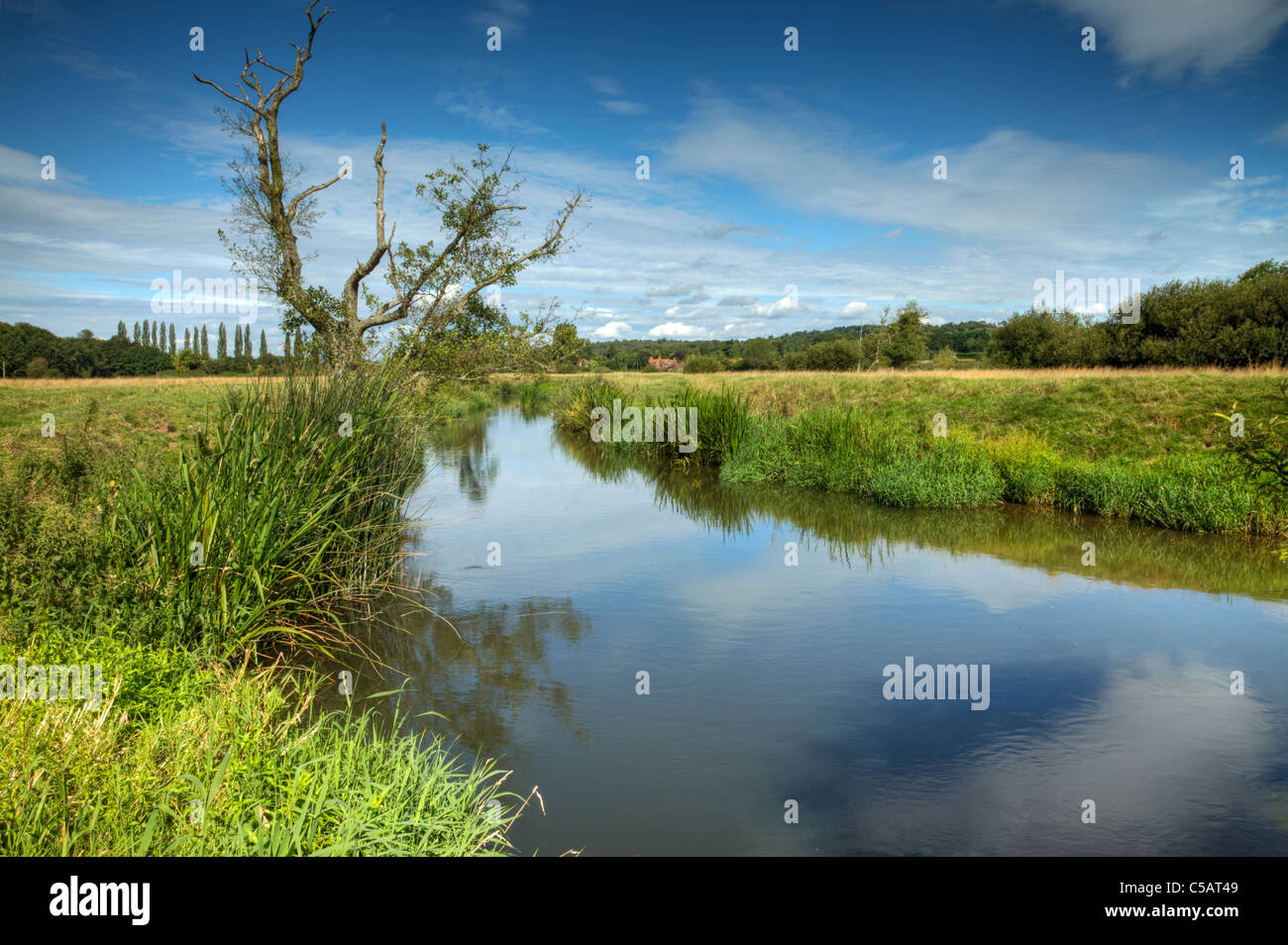 Fiume Rother, West Sussex Foto Stock