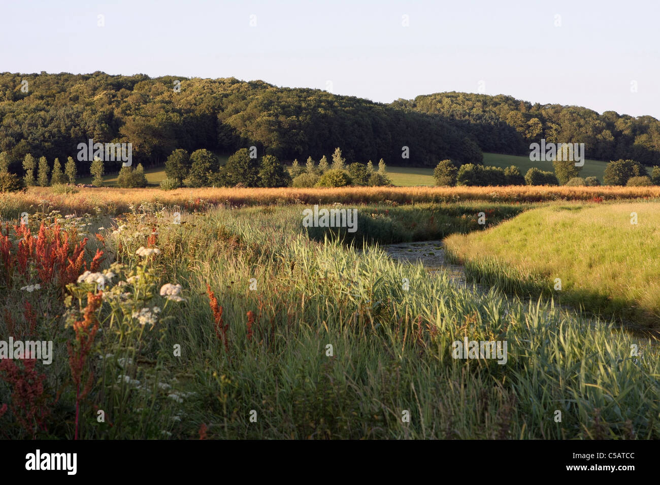 Una vista del paesaggio rurale alle piccole Hythe, Kent, Inghilterra una sera d'estate Foto Stock