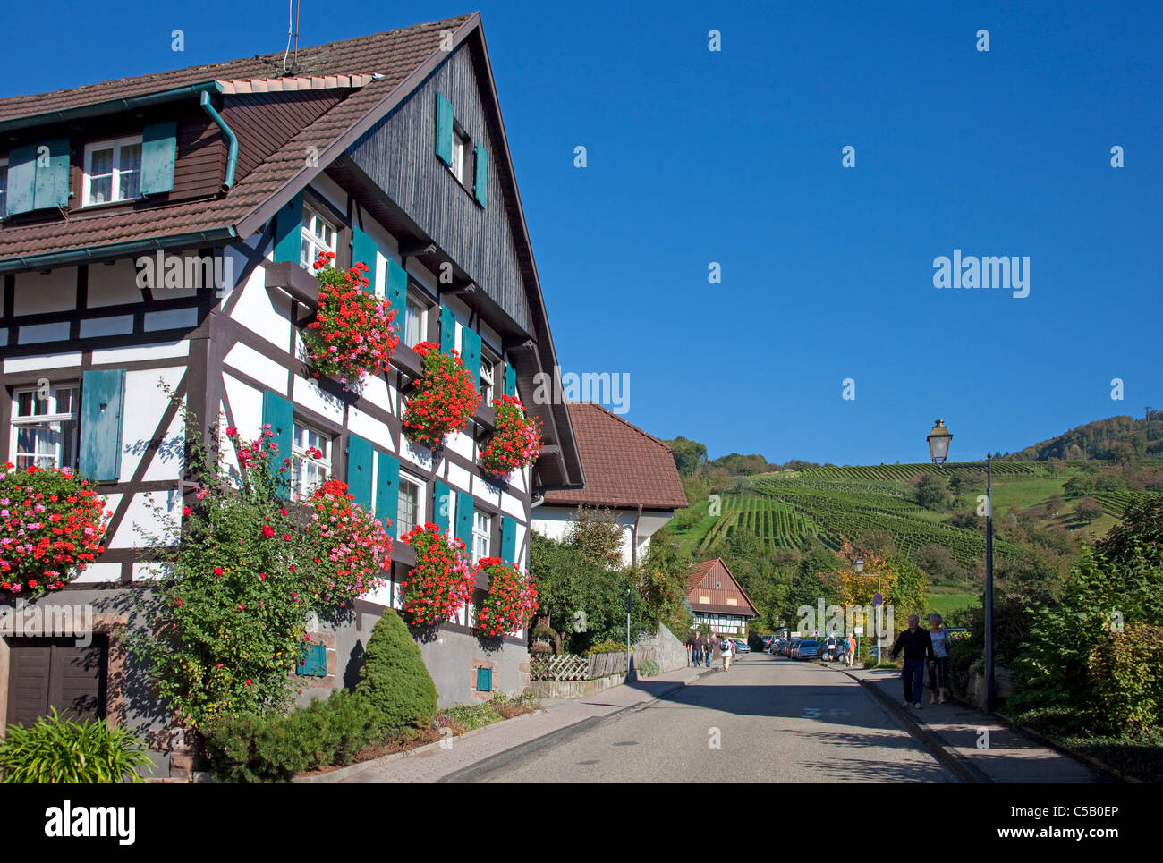 Bauernhaus a Sasbachwalden, Schwarzwald, Agriturismo a Sasbachwalden, Foresta Nera Foto Stock