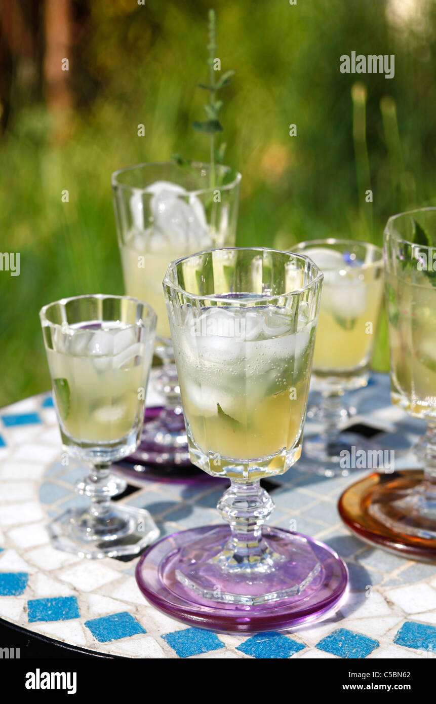 La limonata con erbe aromatiche Foto Stock