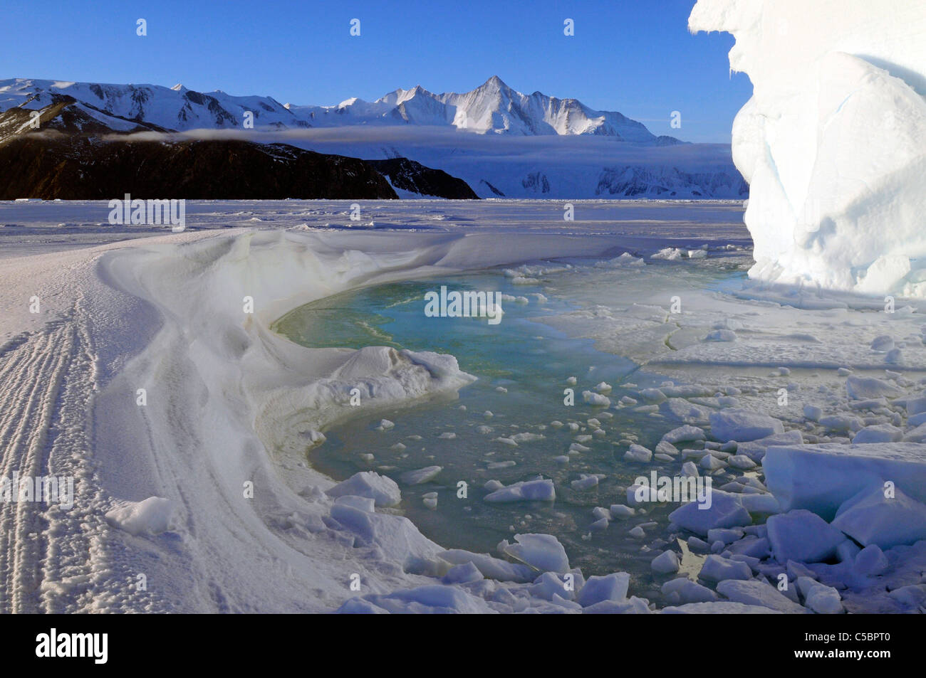 Montare Herschel con alghe marine in piscina dal mare di ghiaccio nei pressi di Cape Hallett settentrionale del Mare di Ross Antartide Foto Stock
