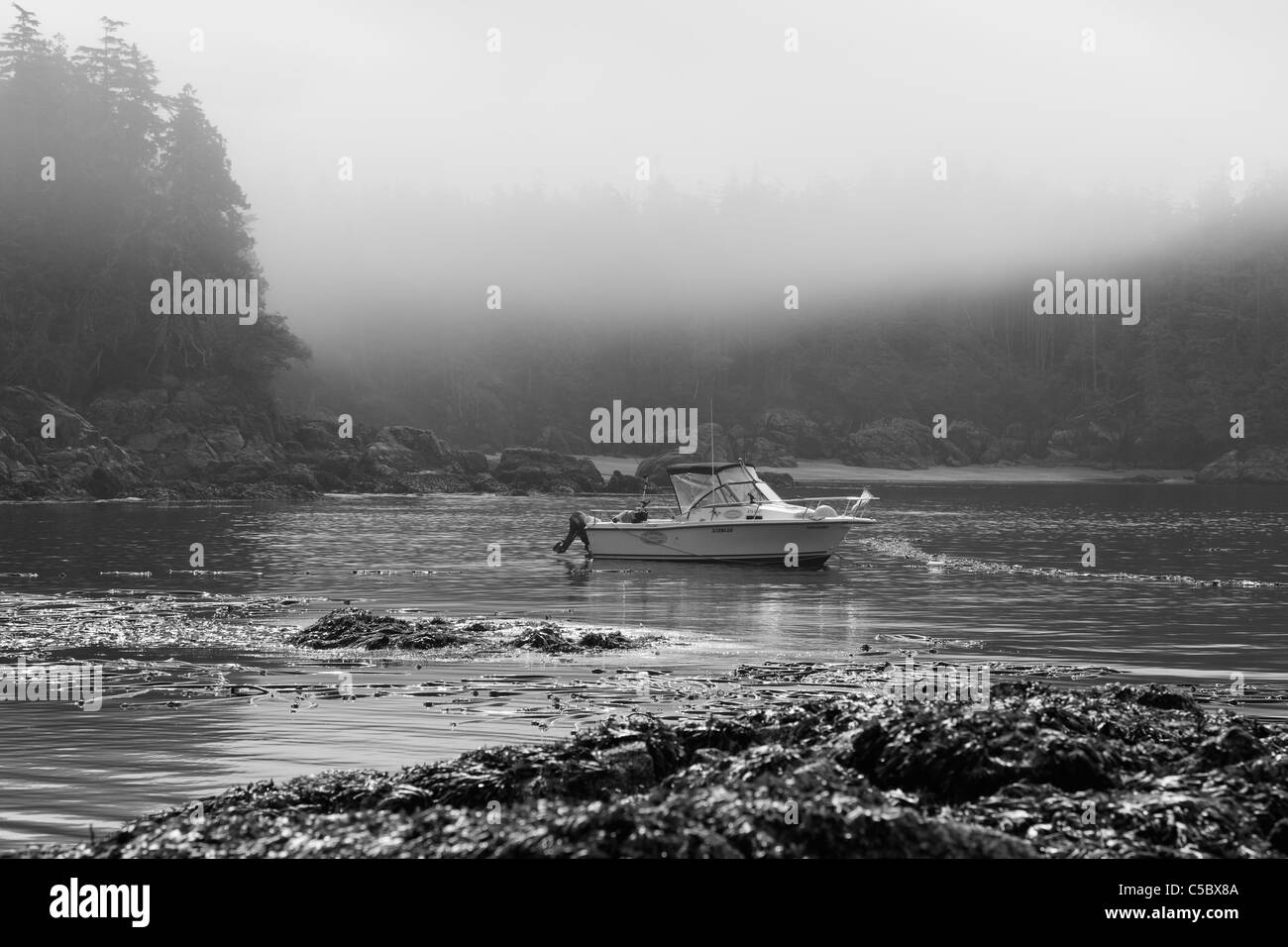 La pesca in barca charter in oceano vicino a Tofino BC in una nebbiosa mattina d'estate con la bassa marea Foto Stock