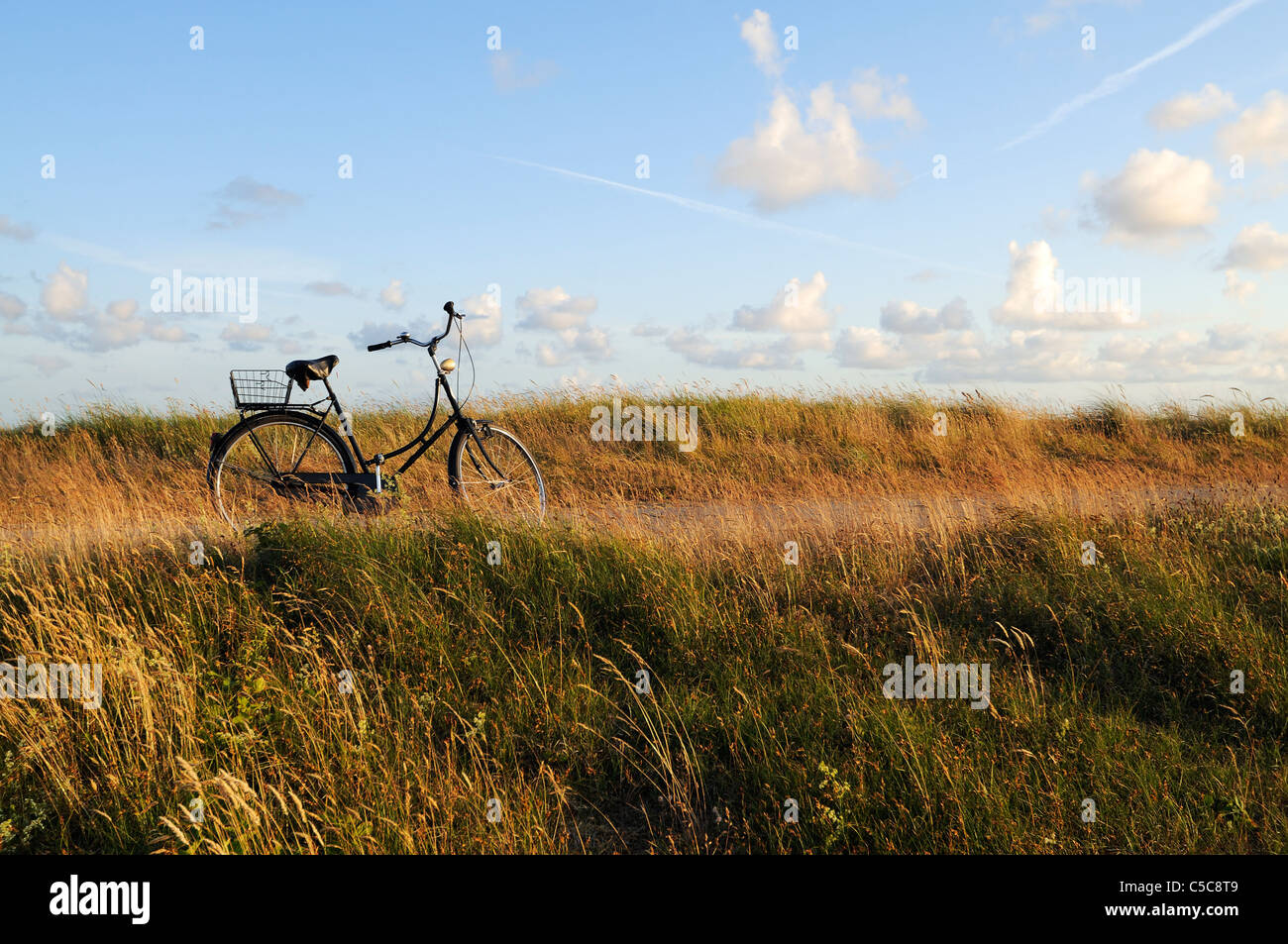 Bicicletta su una passerella costiere contro un bel cielo blu, il Mare del Nord Isole di Germania, Wangerooge. Foto Stock