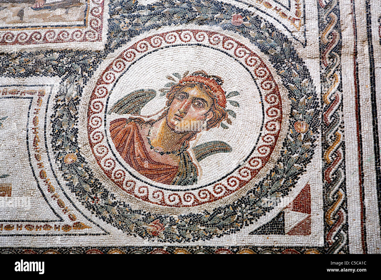 Mosaico romano, il Museo di Bardo, Tunisi, Tunisia Foto stock - Alamy