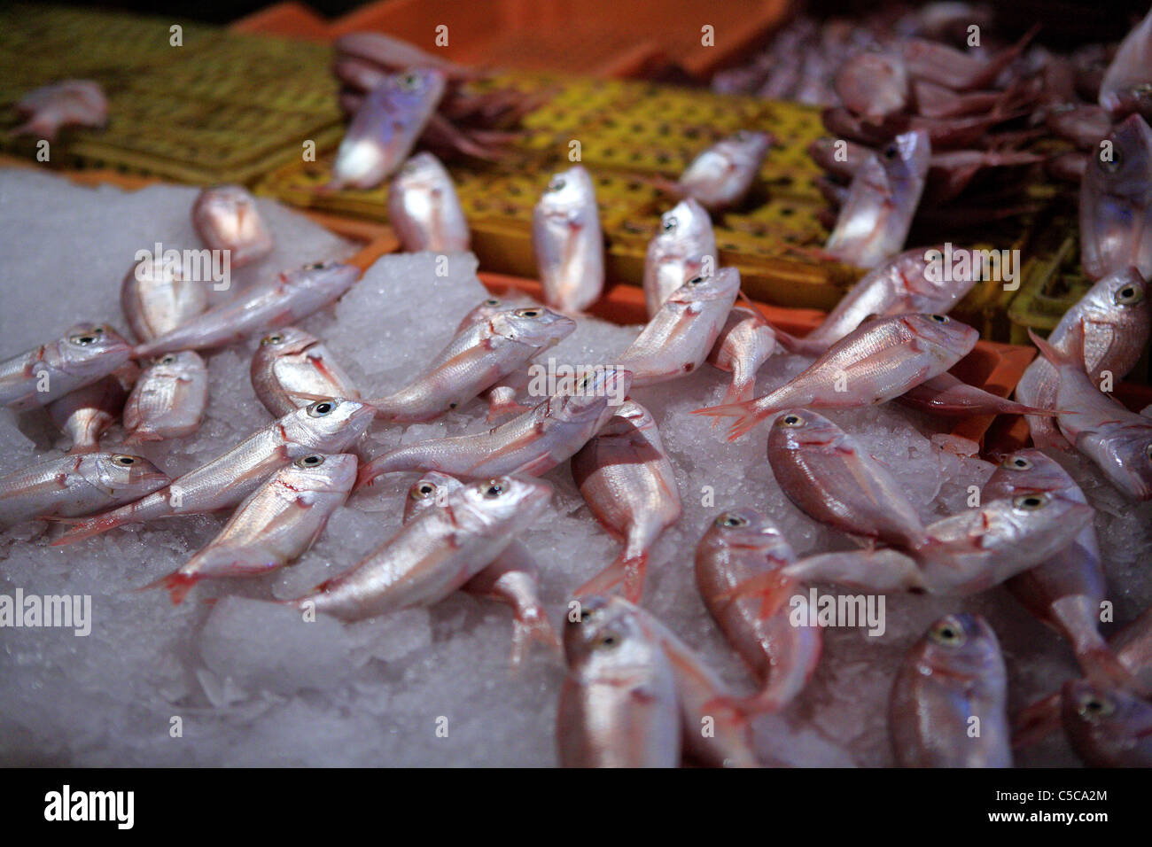 Street Market, Tunisi, Tunisia Foto Stock