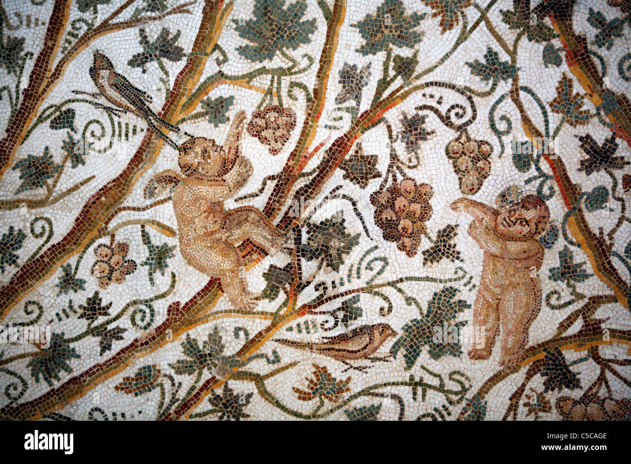 Mosaico Romano (terzo secolo), il museo archeologico, El Jem, Tunisia Foto Stock