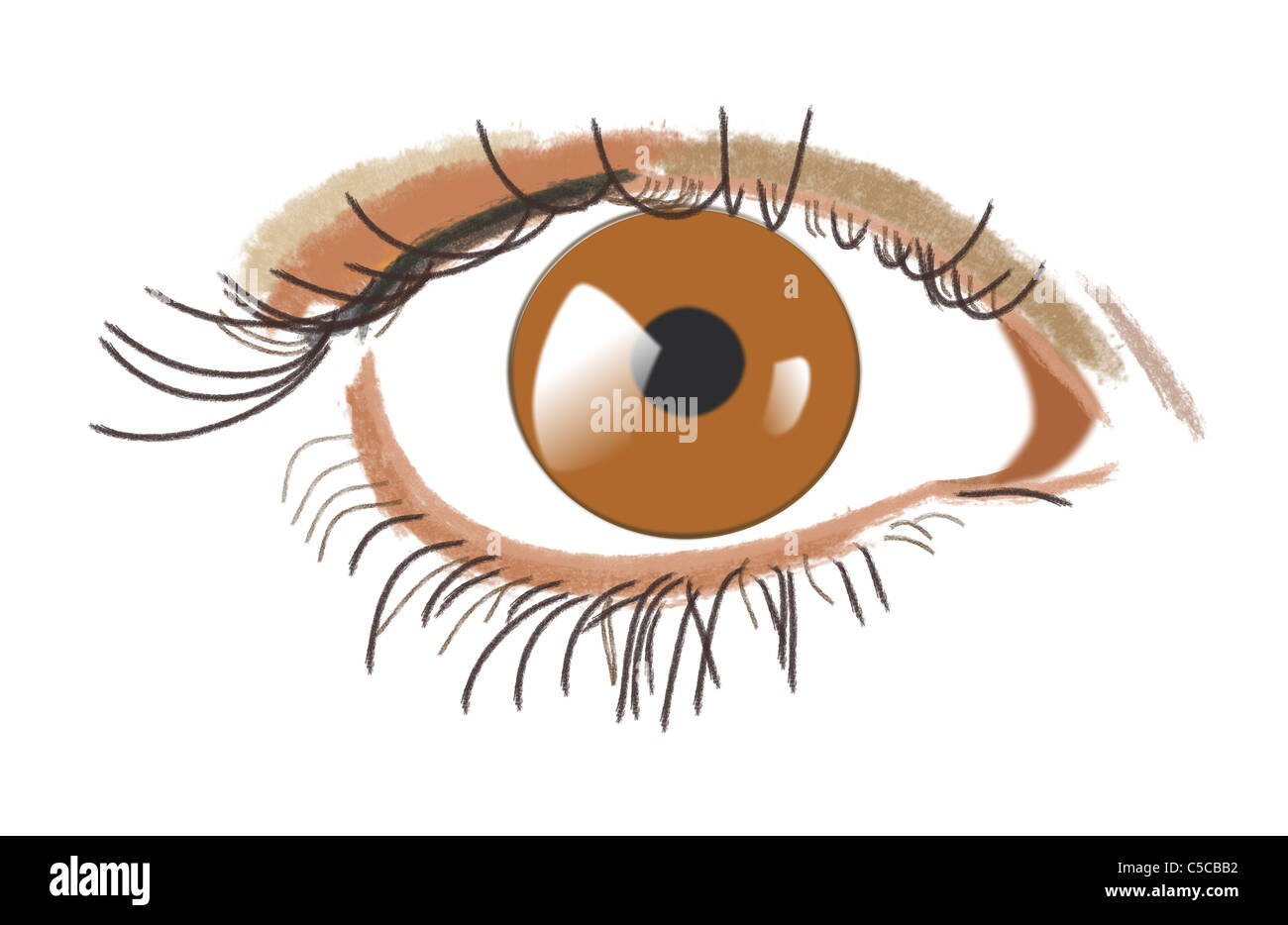 Disegno di un occhio marrone (occhio destro). Foto Stock