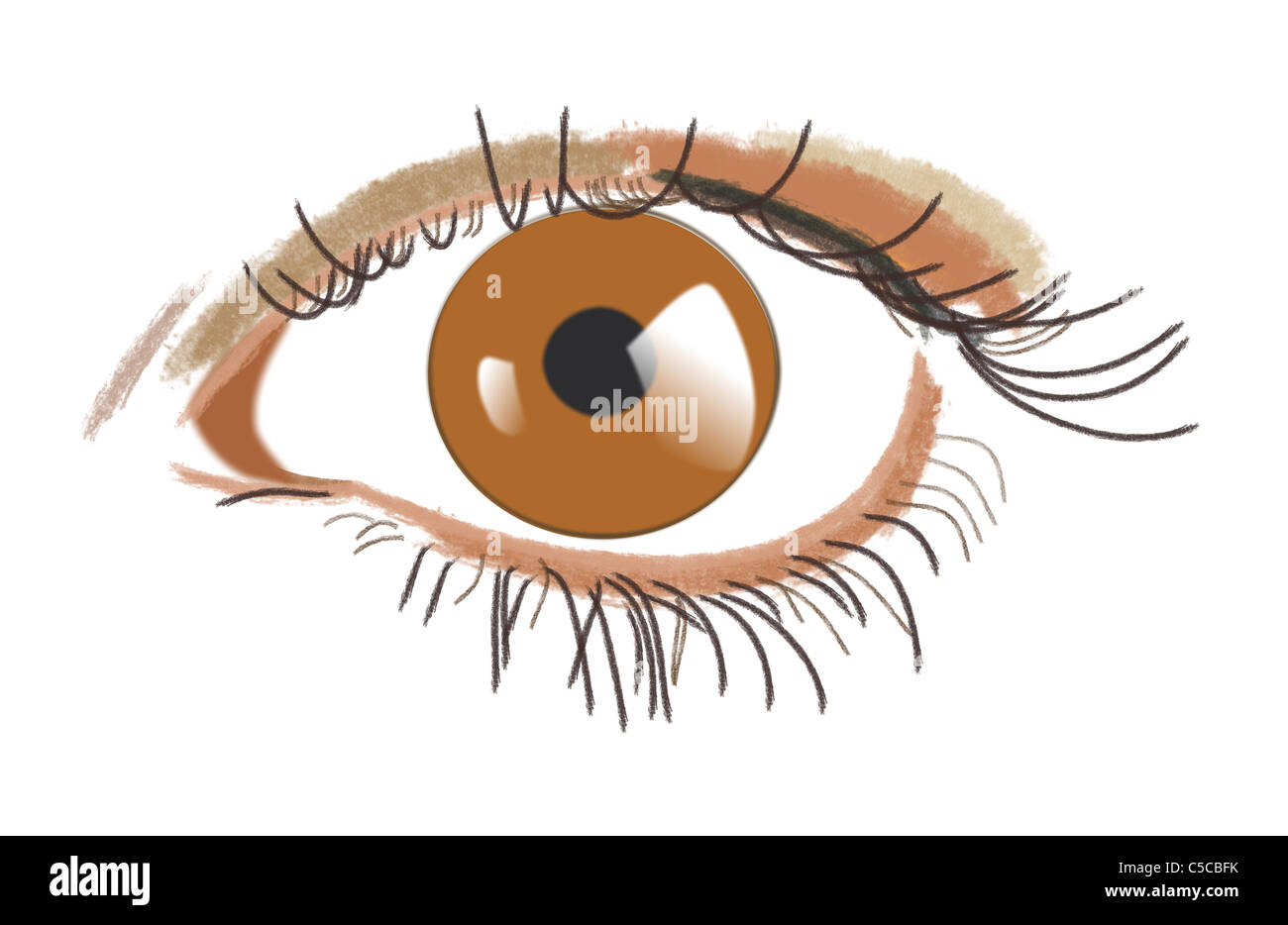 Disegno di un occhio marrone (occhio sinistro). Foto Stock