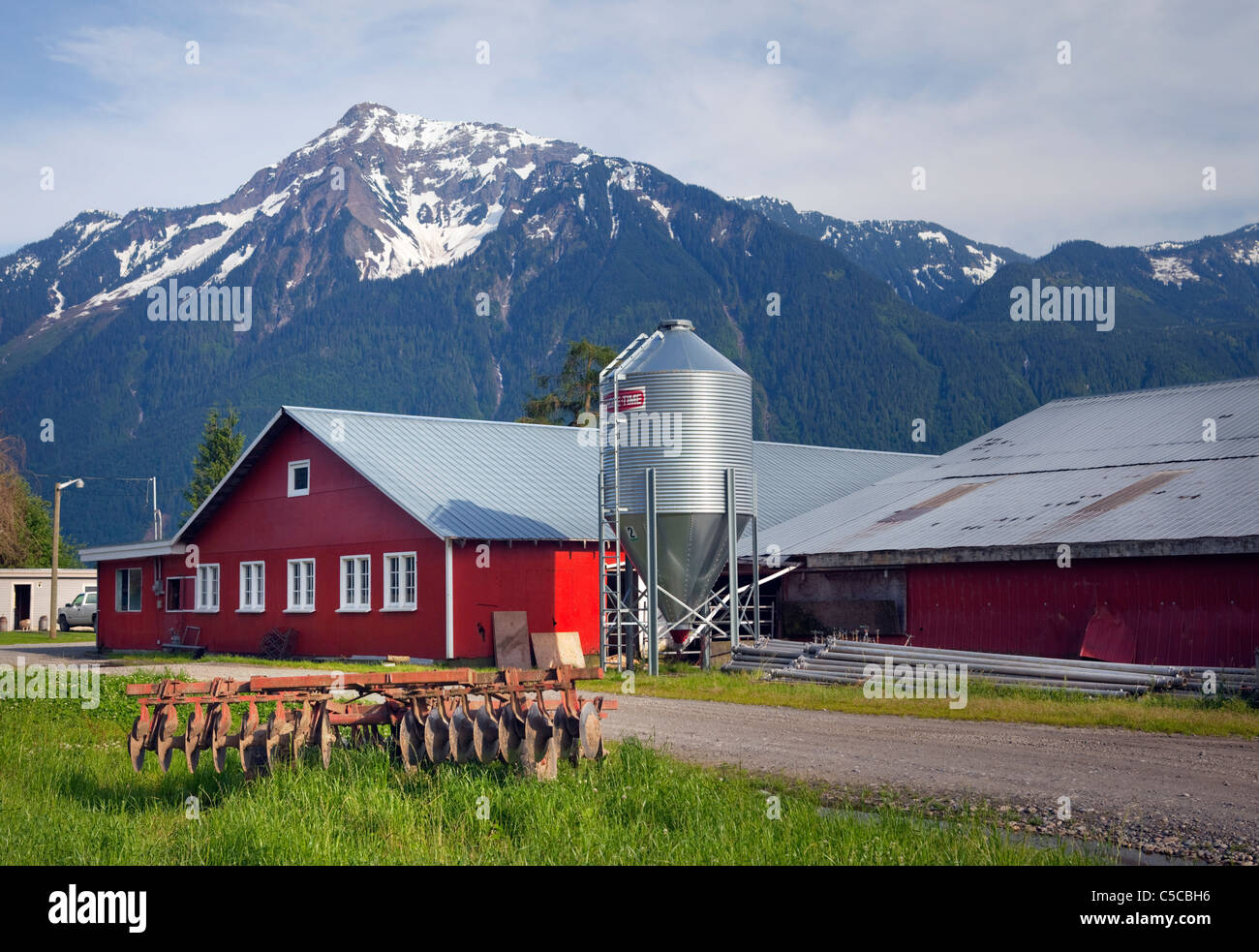 Agricoltura in Agassiz, BC Foto Stock