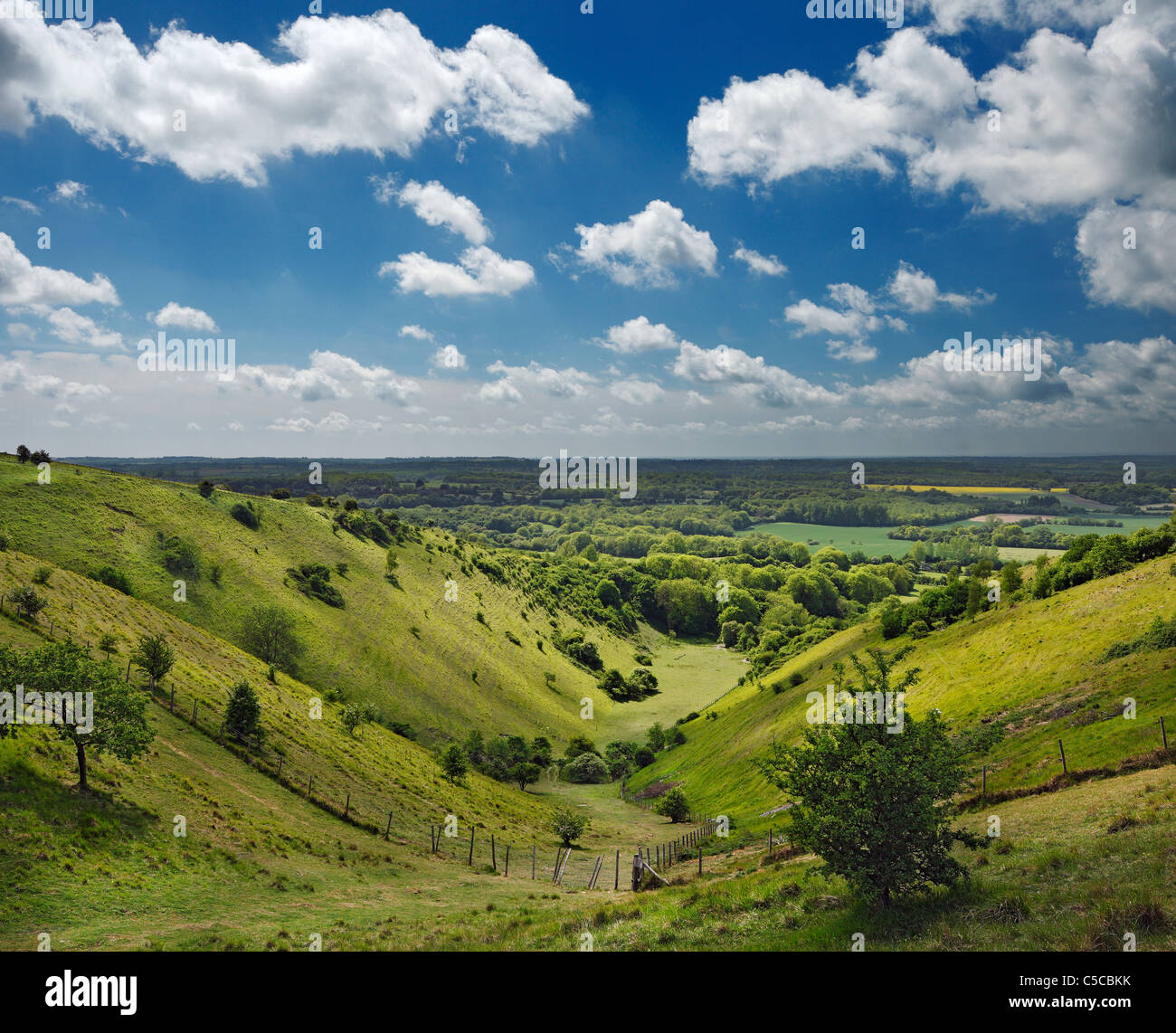 I diavoli Madia, Wye Downs Riserva Naturale Nazionale. Foto Stock