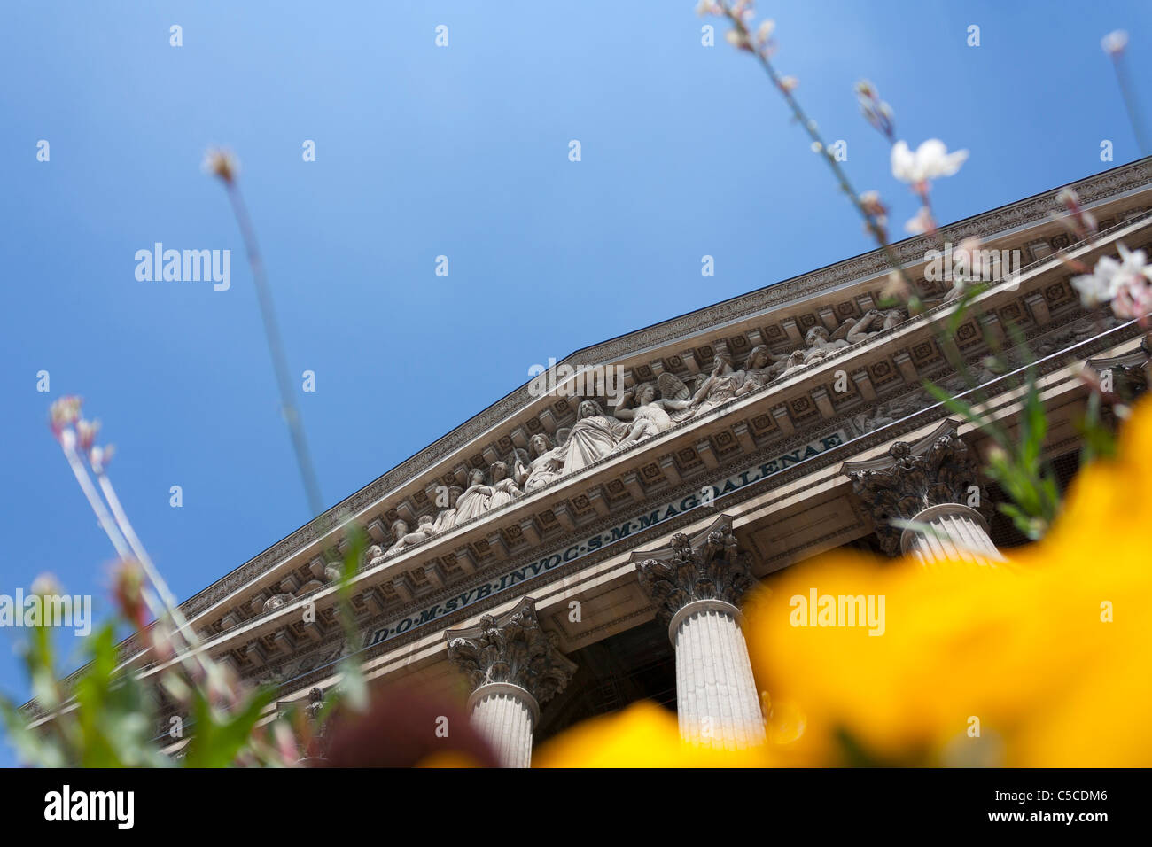 Magdalena 's Chiesa e fiori di colore giallo,Parigi,Francia Foto Stock