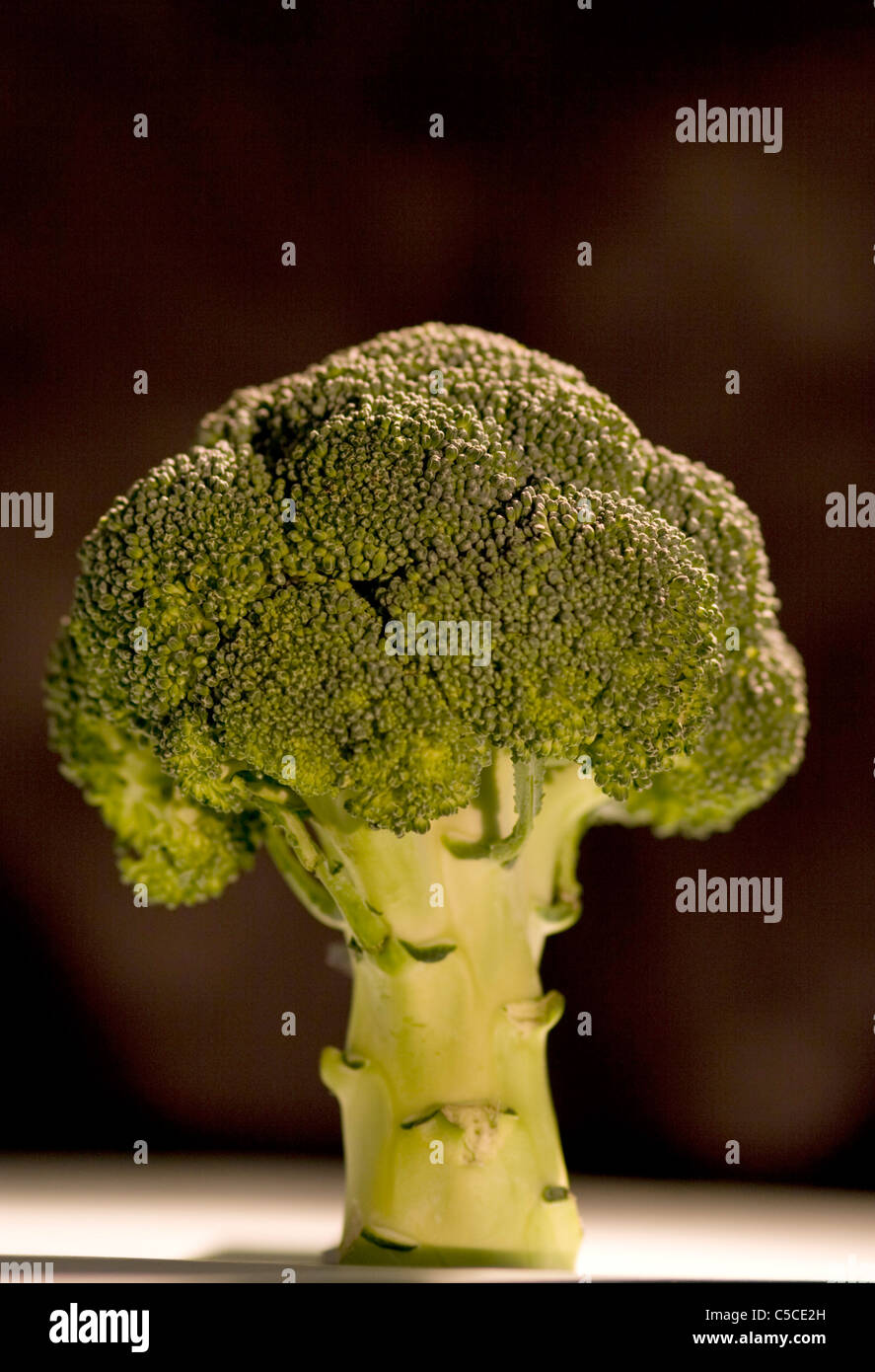 Testa di broccoli Foto Stock