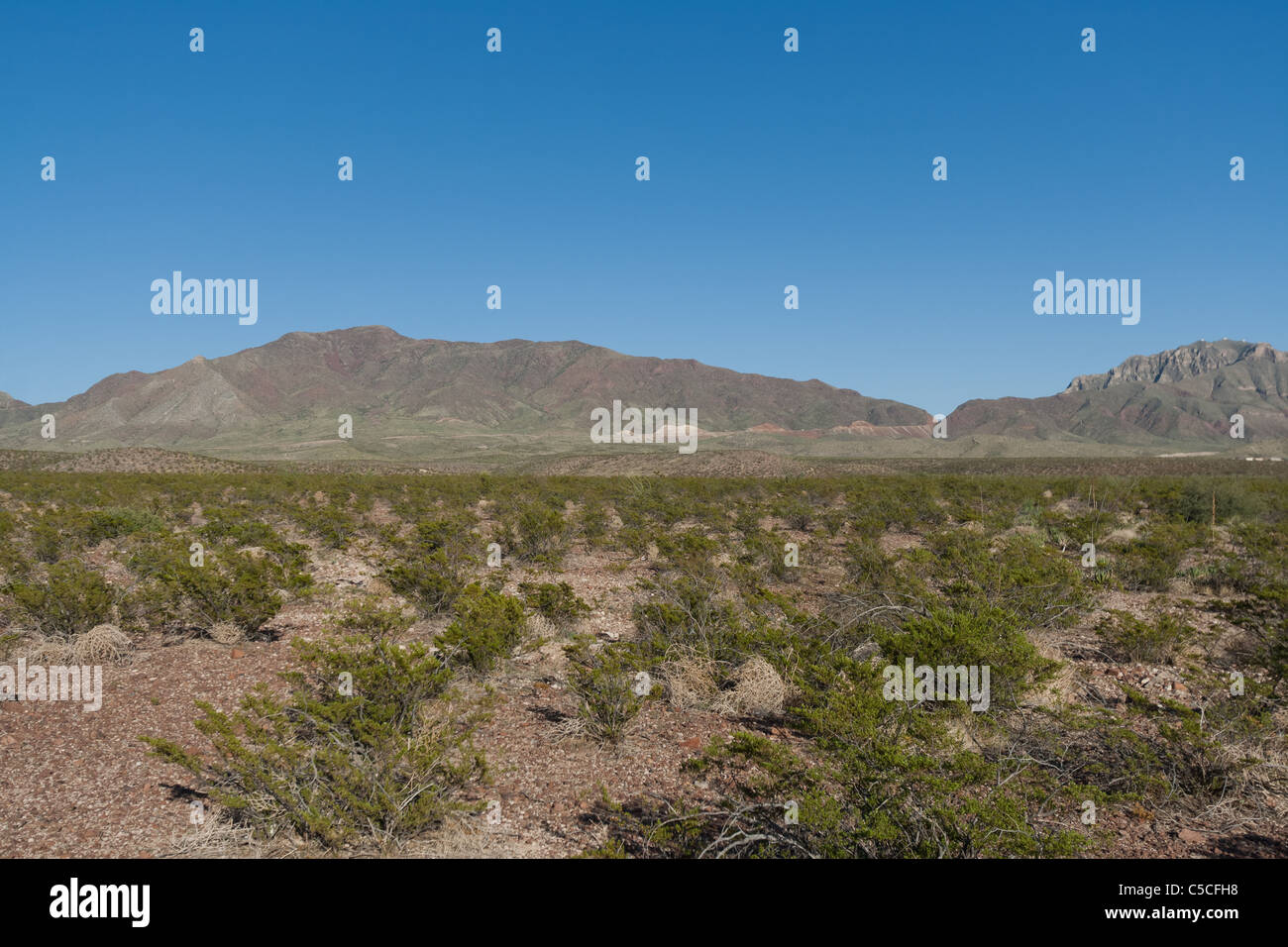Il El Paso Franklin montagne nel deserto sud-ovest degli Stati Uniti in Texas. Foto Stock