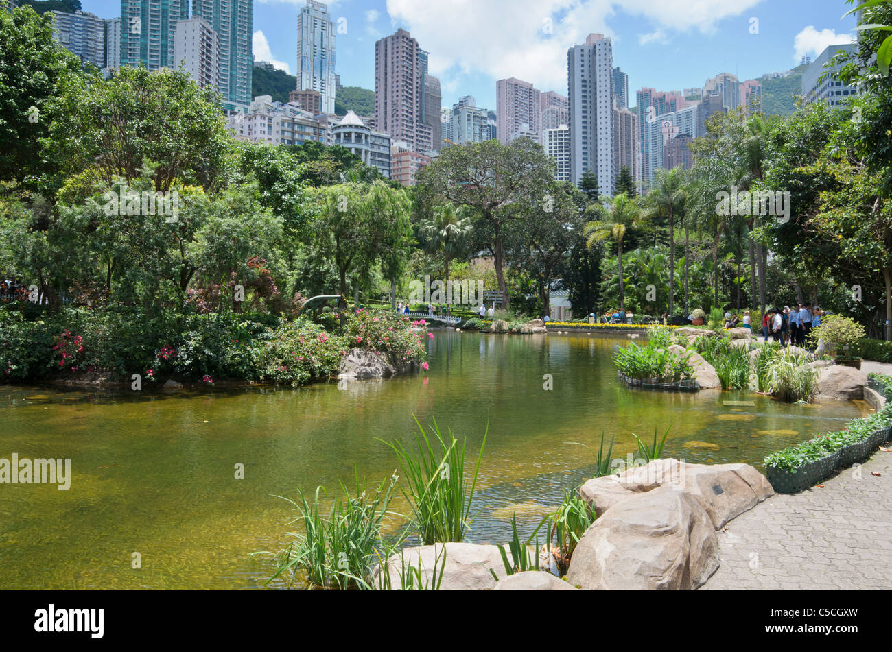 Il pittoresco Hong Kong Park con il suo lago artificiale circondato da alti edifici di Central Foto Stock