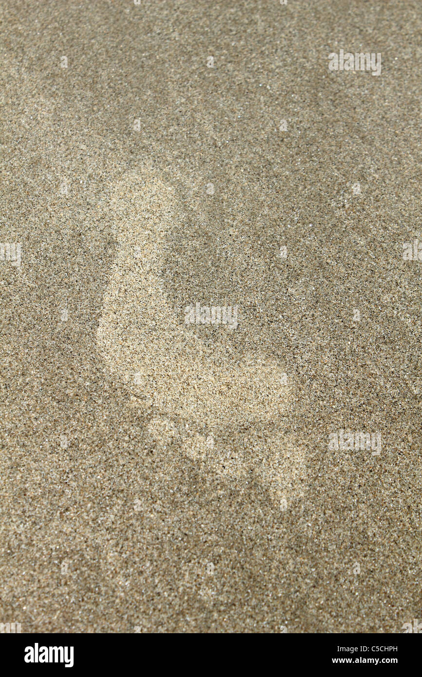 La spiaggia a Harlech, Gwynedd, NW Wales UK. Foto Stock
