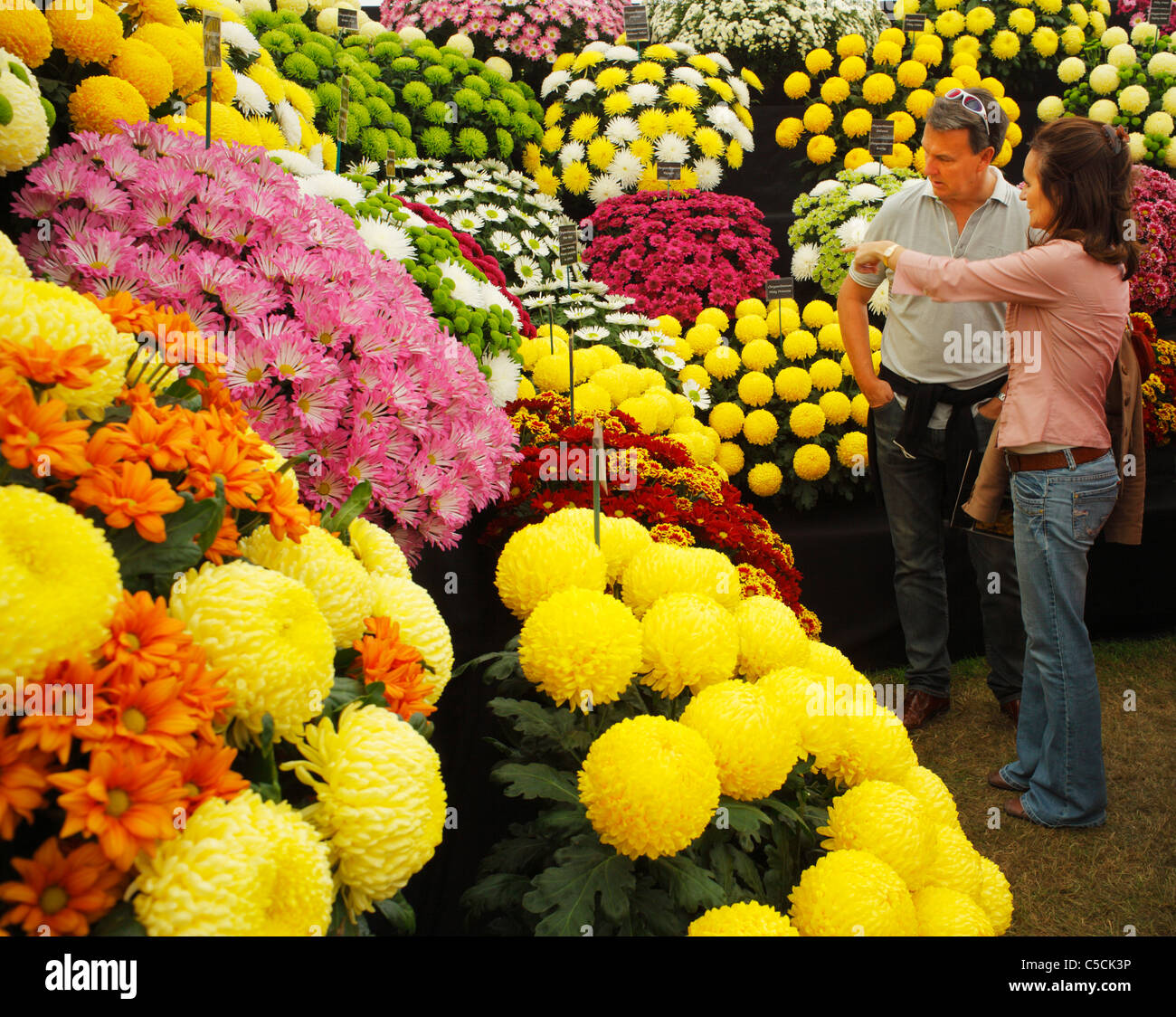 Giovane godendo un premiato e visualizzazione di crisantemi, a Hampton Court flower show. Foto Stock