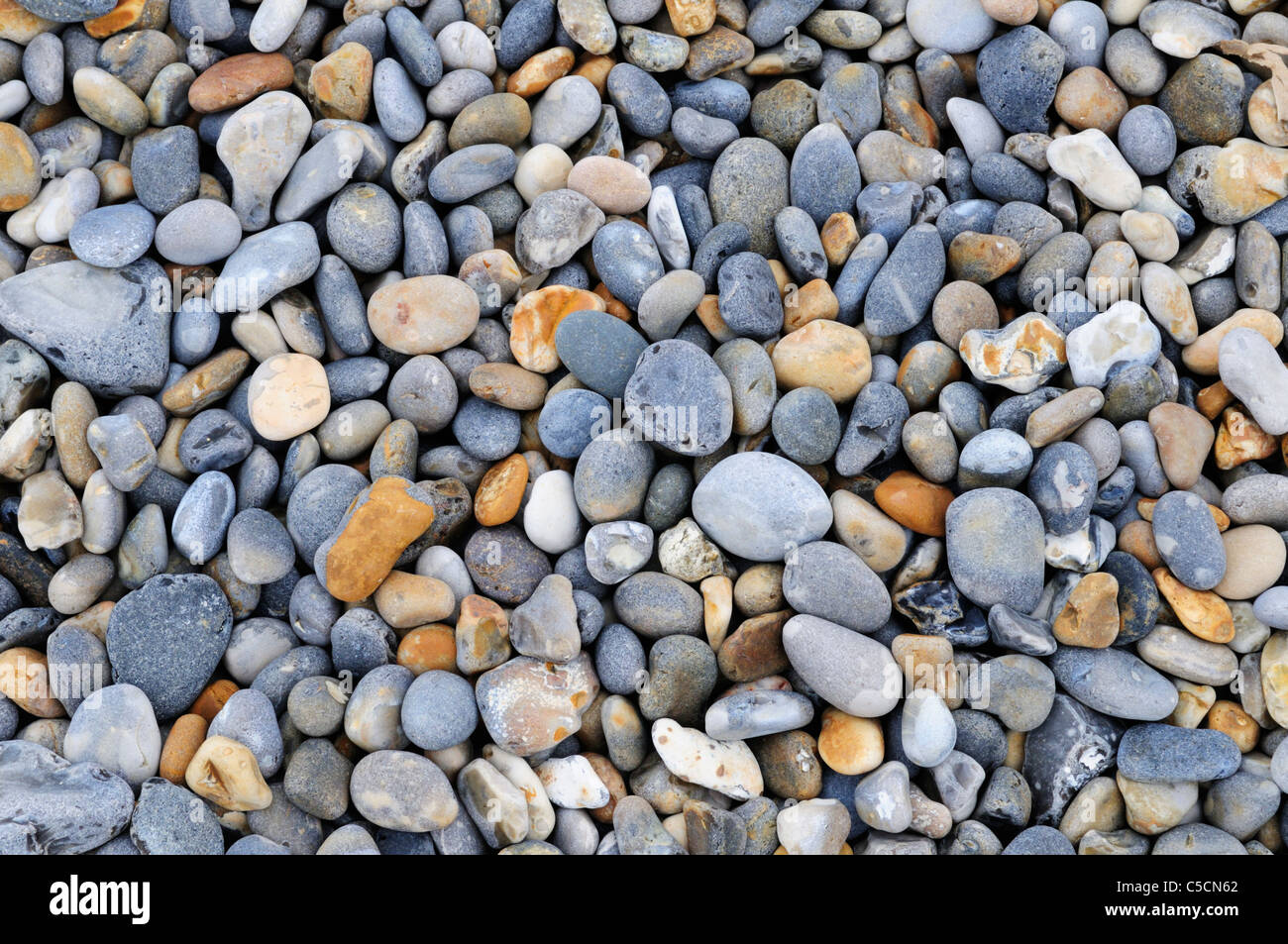 Spiaggia ghiaiosa Dettaglio, Weybourne, Norfolk, Inghilterra, Regno Unito Foto Stock
