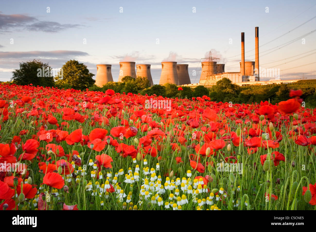 Vista di Ferrybridge Power Station con un campo pieno di Poppys e margherite a Ferrybridge, vicino a Castleford, West Yorkshire, Regno Unito Foto Stock