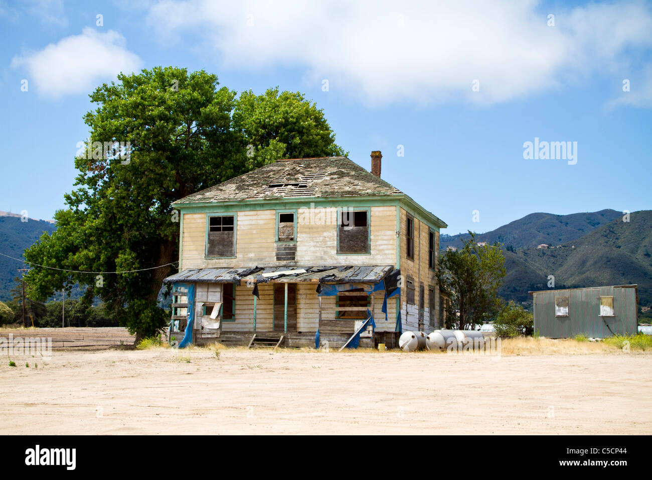 Allevamento nella Salinas Valley della California, Stati Uniti d'America Foto Stock