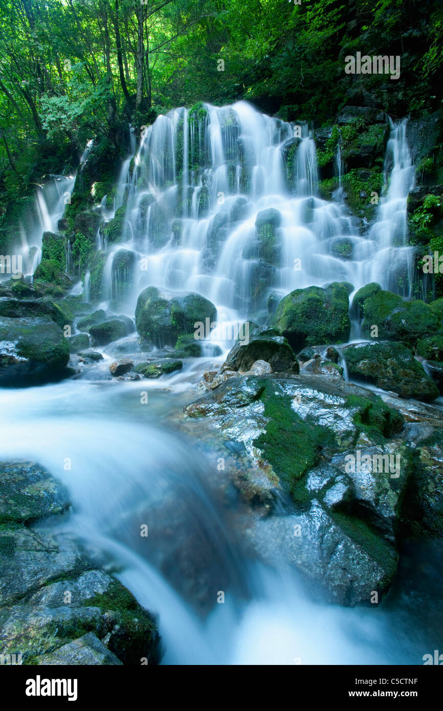 Acqua flussi di caduta Foto Stock