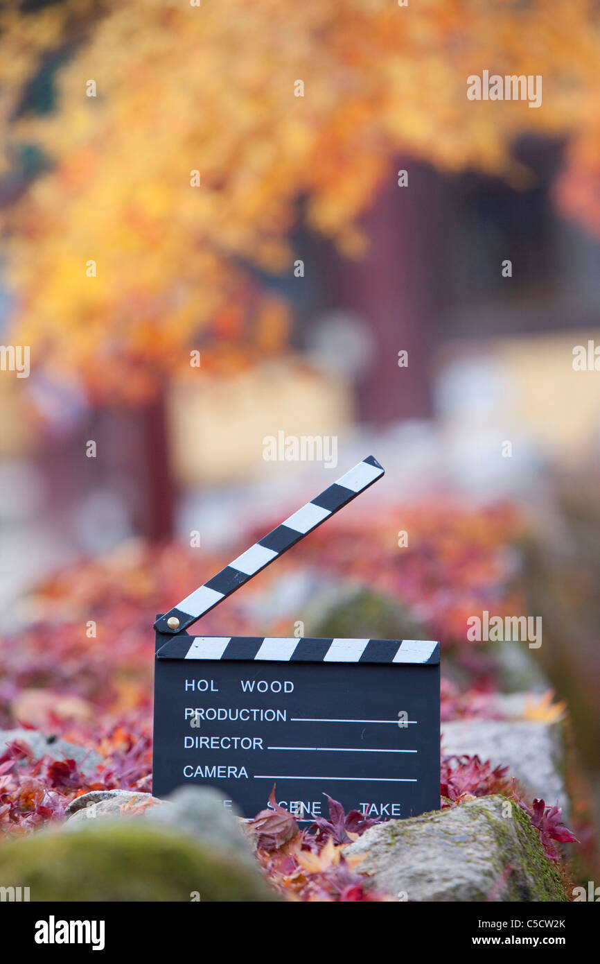 Filmato su ardesia la caduta foglie Foto Stock