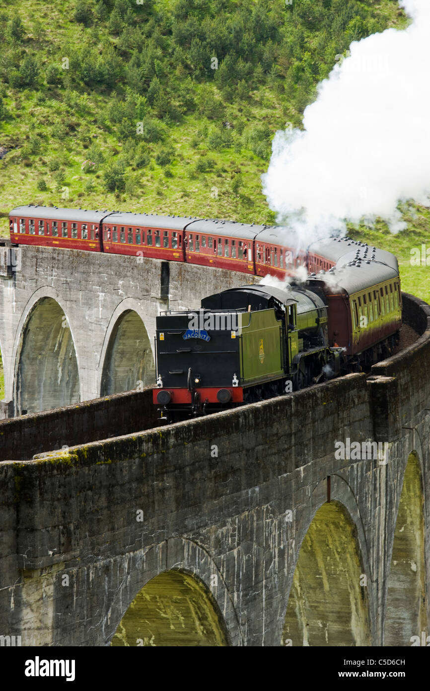 Treno a vapore sul viadotto Glenfinnan, Highland, Scotland, Regno Unito Foto Stock