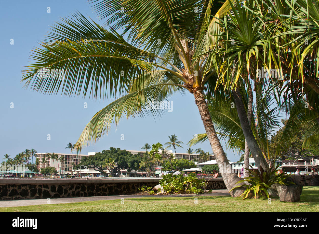 Kailua-Kona, Hawaii Foto Stock