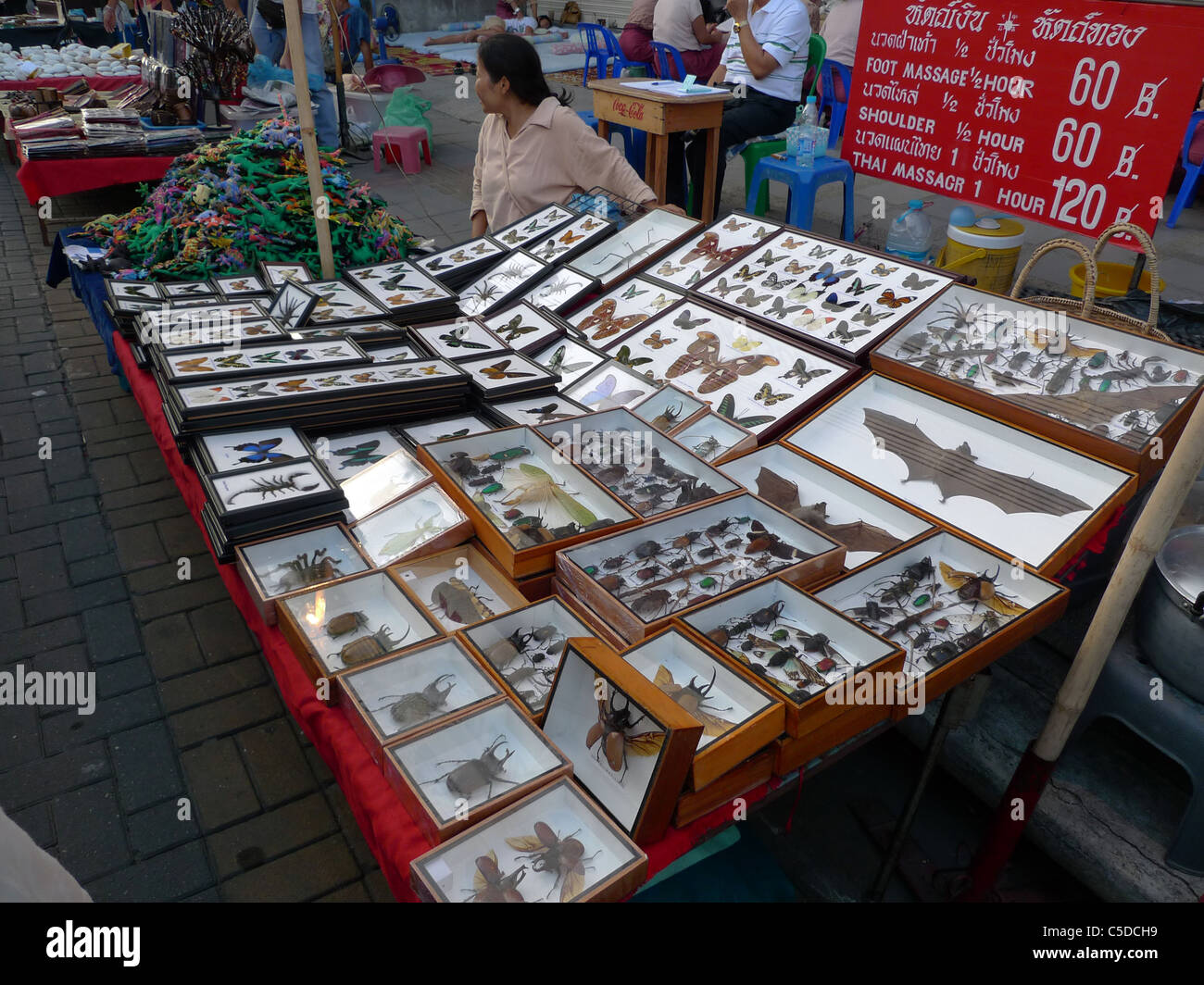 Thailandia Chiang Mai. Bancarella vendendo gli insetti e ragni in casi di vetro. Foto di Sean Sprague Foto Stock
