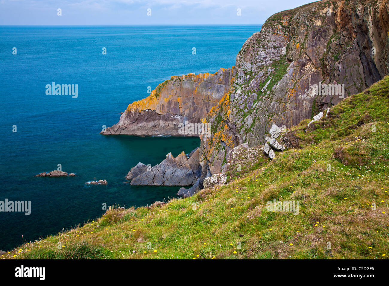 Coste rocciose e scogliere a punto larghi di un promontorio vicino Croyde, North Devon, Inghilterra, Regno Unito Foto Stock