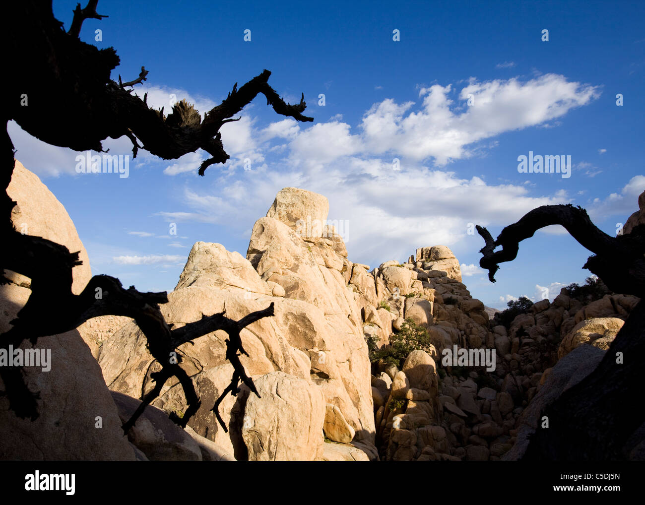 Un stranamente gneiss unica formazione di roccia nel sud-ovest americano nel deserto - Deserto Mojave, California USA Foto Stock