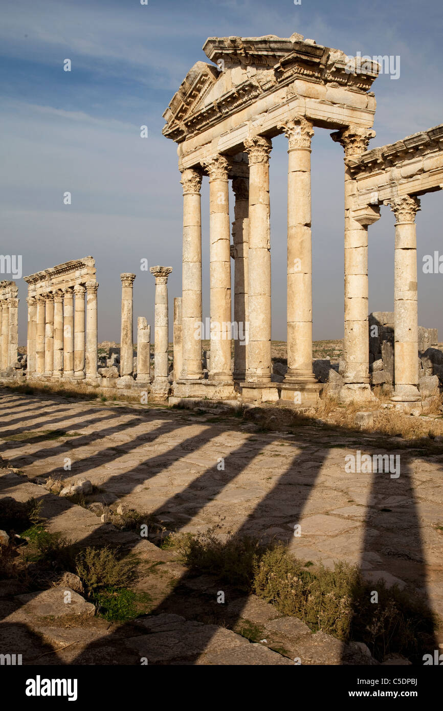 Il colonnato di Apamea, Siria al tramonto Foto Stock