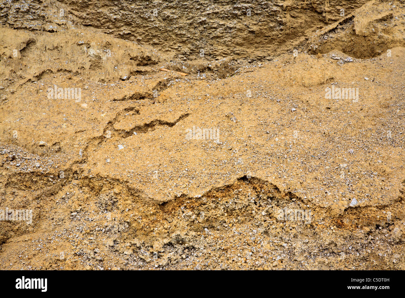 Abstract della buca di sabbia a Bartlett foresta sperimentale in Bartlett, New Hampshire USA Foto Stock