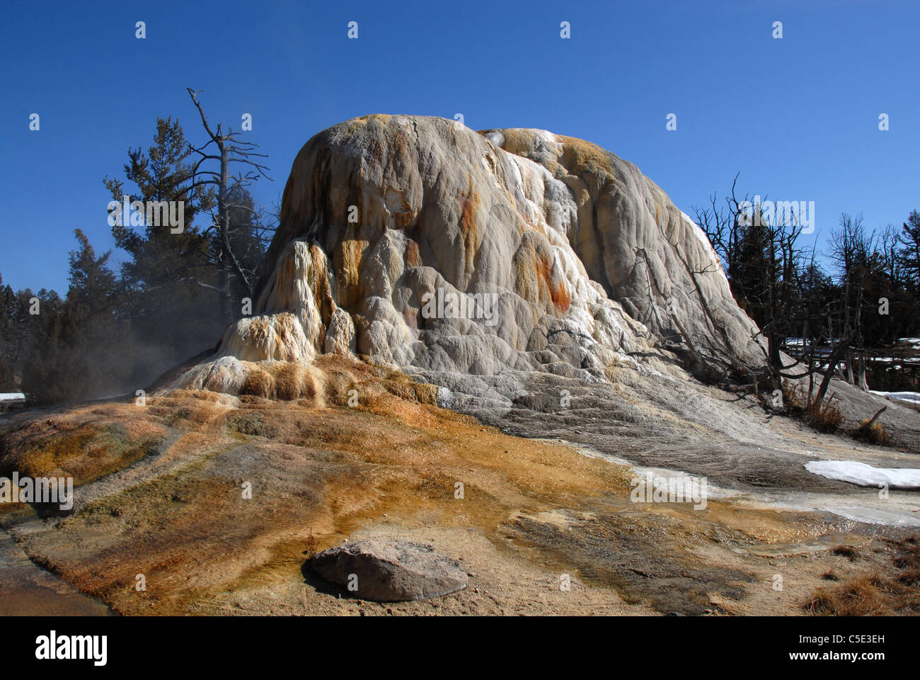 Mammoth Hot Spring,arancio spring mound, Yellowstone NP. Montana, USA Foto Stock