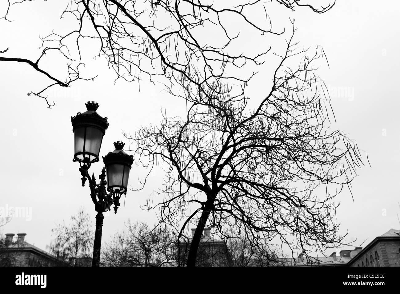 Lampione in inverno a Parigi, Francia Foto Stock