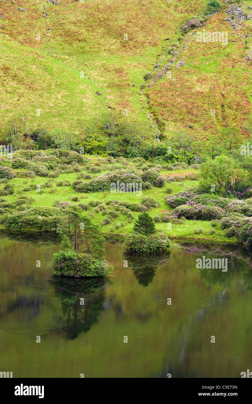 Lochan Urr, Glen Etive, Highland, Scotland, Regno Unito Foto Stock
