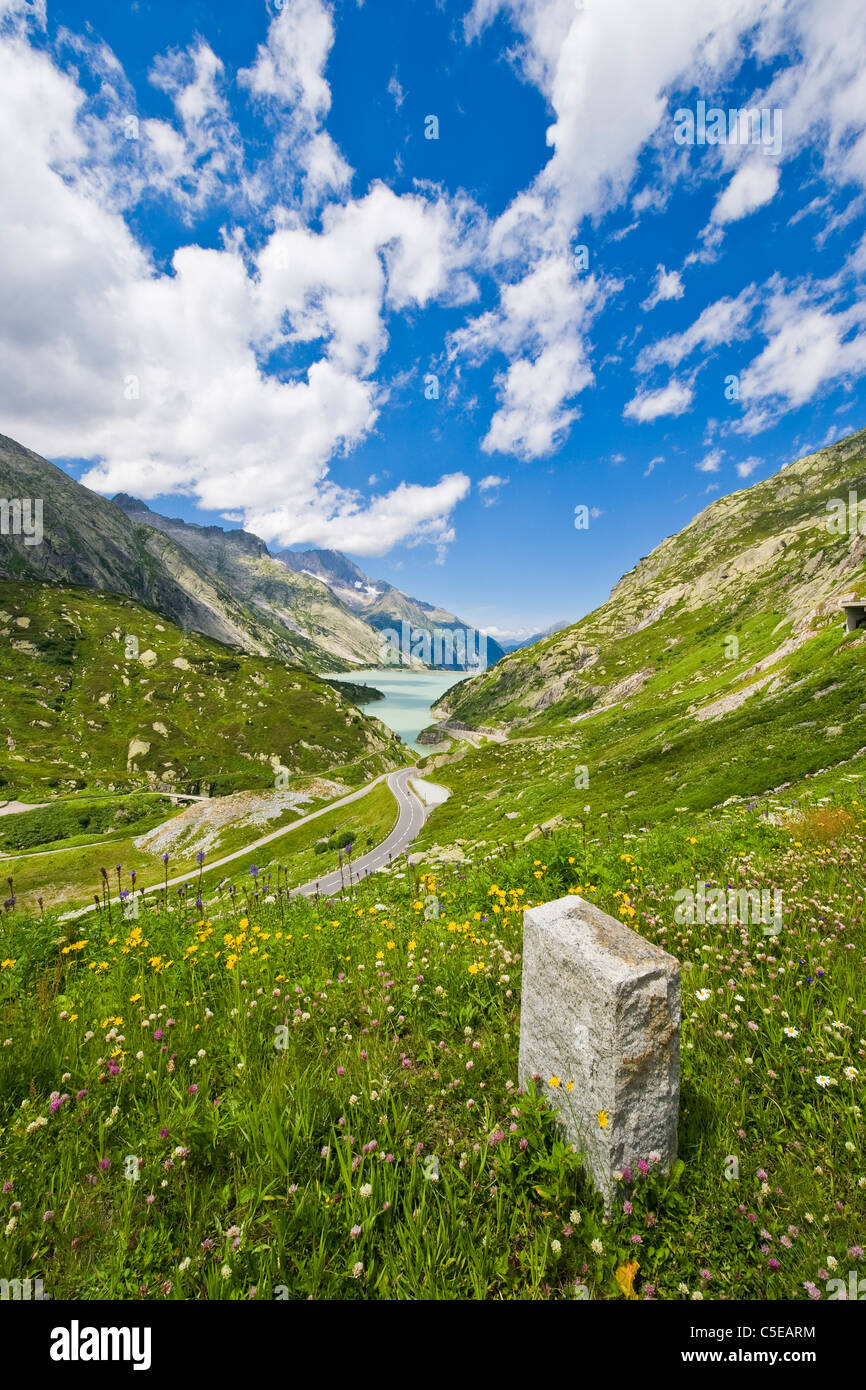 Raterichs lago Bodensee, Passo del Grimsel, Gelmerbahn, Canton Berna, Svizzera Foto Stock